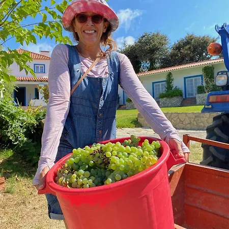 Frühstückspension Quinta Mourada São Bartolomeu