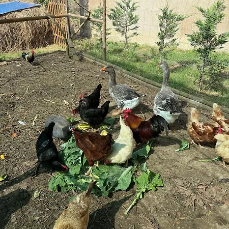 Quinta Mourada São Bartolomeu