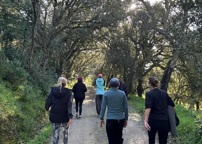 Quinta Mourada Alojamento de Acomodação e Pequeno-almoço