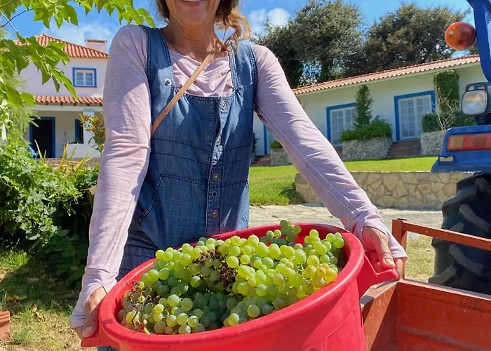 Alojamento de Acomodação e Pequeno-almoço Quinta Mourada São Bartolomeu