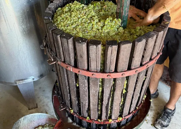 Alojamento de Acomodação e Pequeno-almoço Quinta Mourada