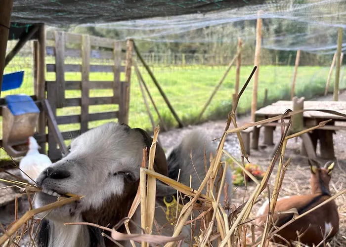 Quinta Mourada São Bartolomeu