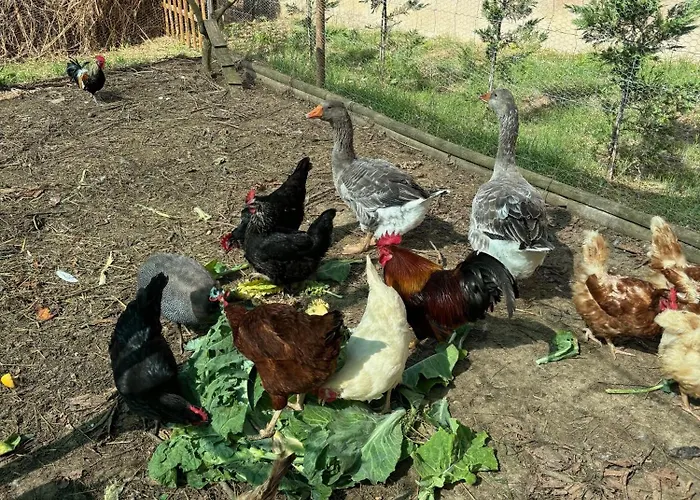 Quinta Mourada São Bartolomeu